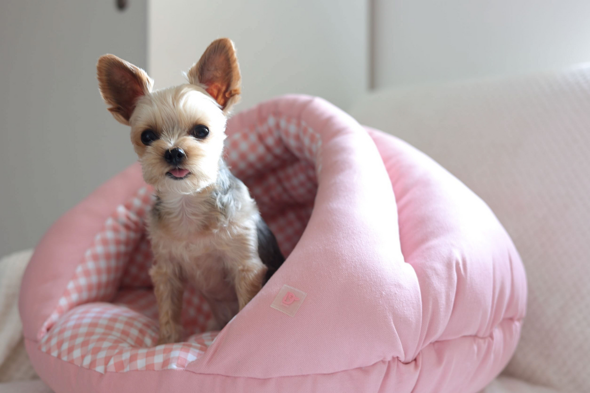 Burger shops dog bed