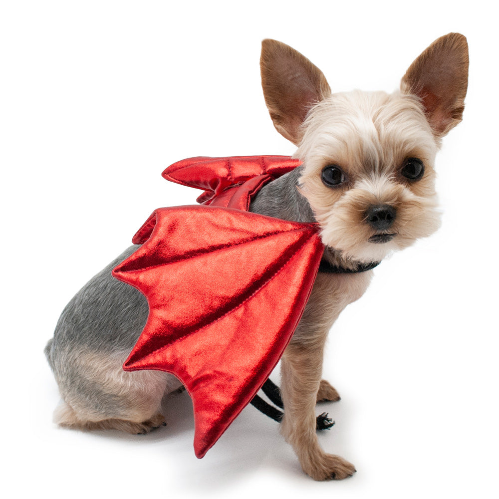 Dragon Wing