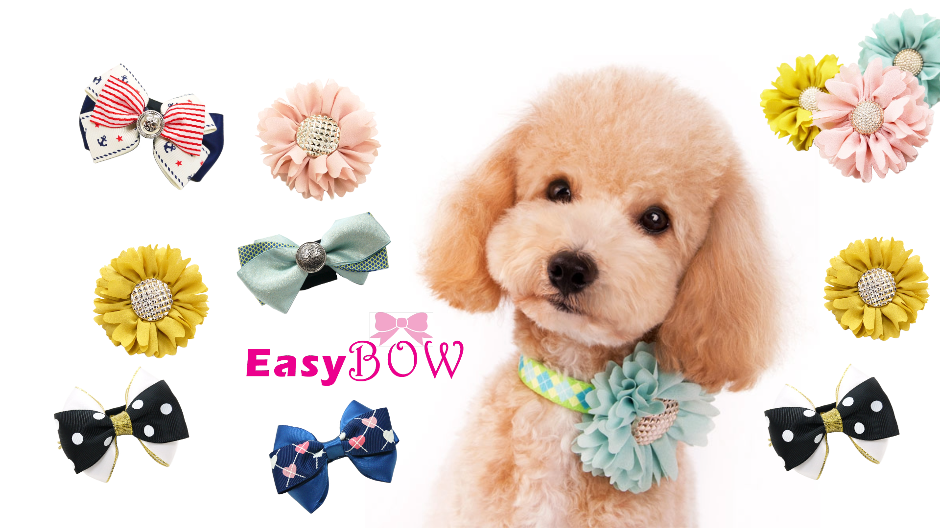 EasyBOW