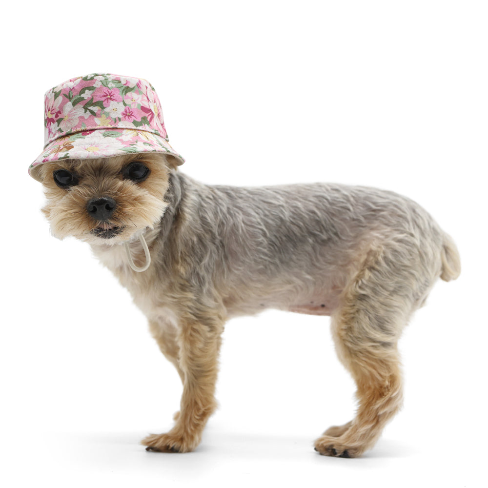 Bucket Hat Blossom – DogoPet.com
