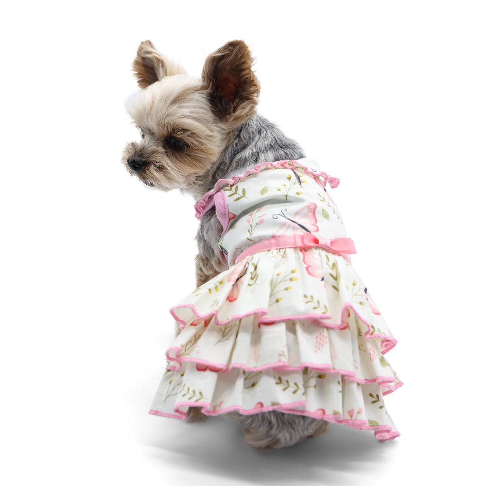 DOGOページ Dogo Pet Official Site - Pet Apparel and Accessories – DogoPet.com