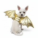 Dragon Wing