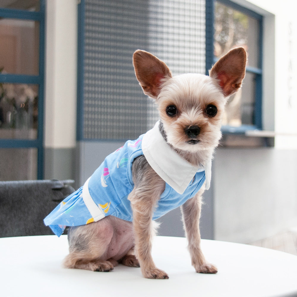 Summer Beach Dog Dress XS Summer Beach Dog Dress XS