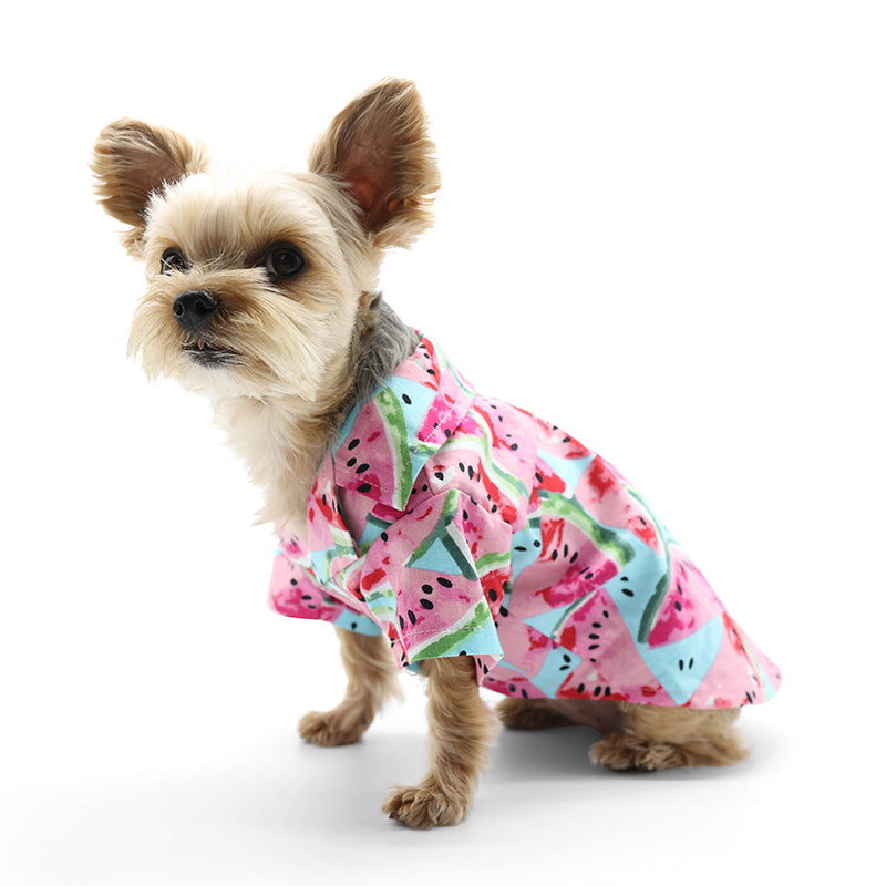 Watermelon hotsell dog dress