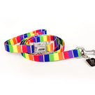 Contempo Leash