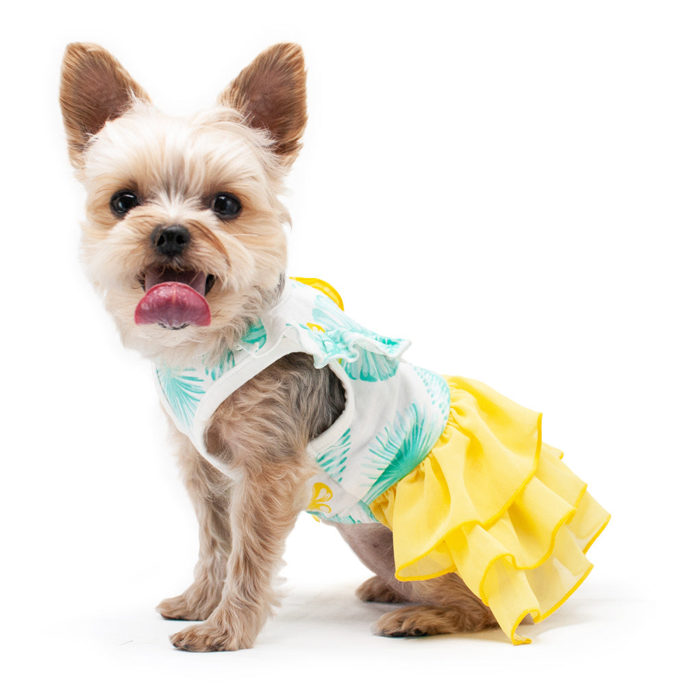 Leafy Dog Dress XXS Leafy Dog Dress XXS