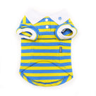 Stripe Polo Shirt